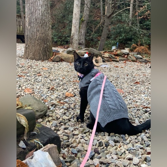 Meet your Posher, Stef๐ - Picture 6 of 11